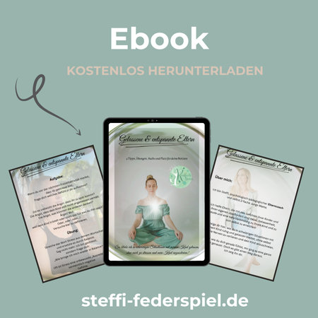 ebook steffi federspiel